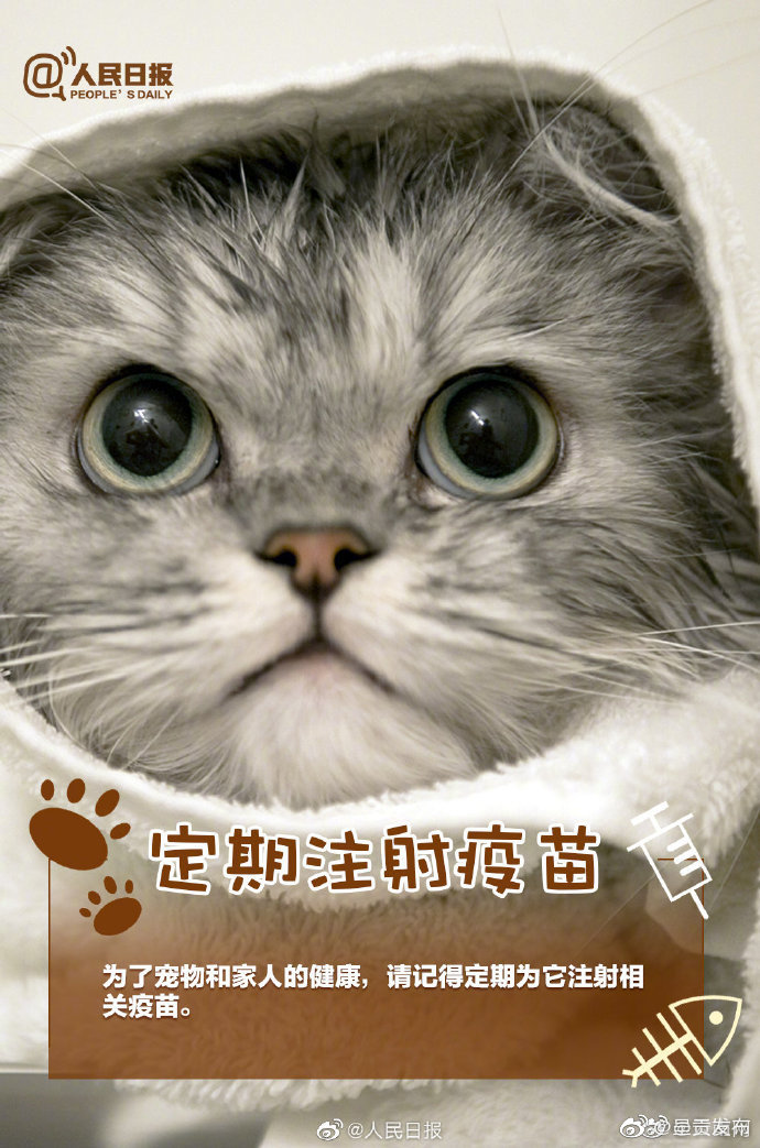 呈贡发布