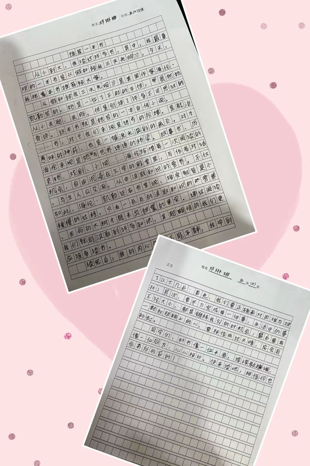 盘龙教育(微信)