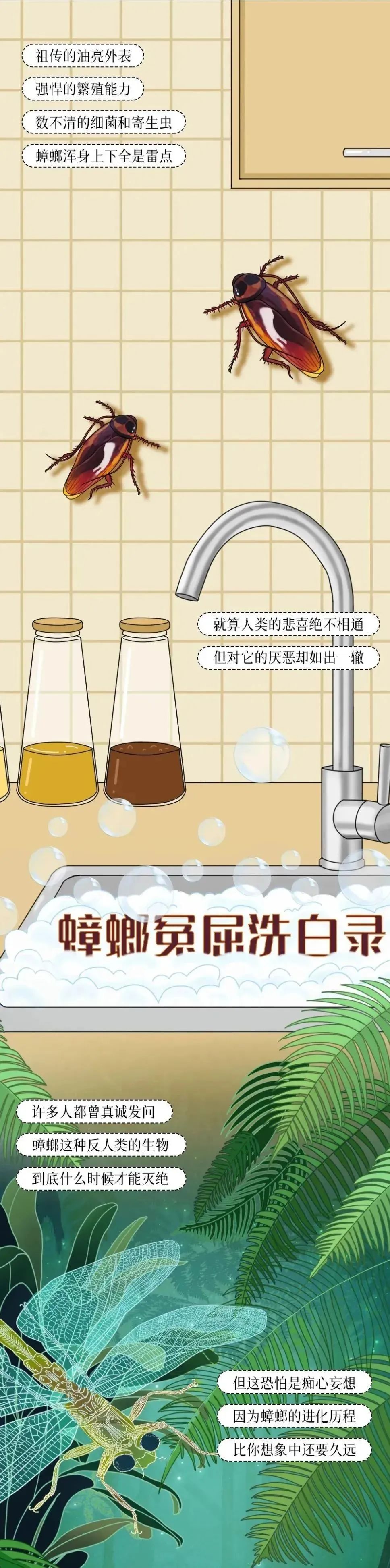 美丽云南微科普