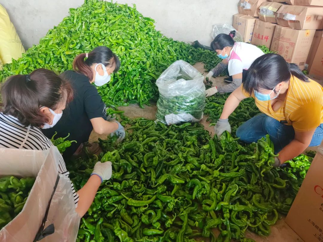 保山新闻网