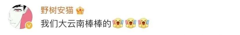 春城晚报