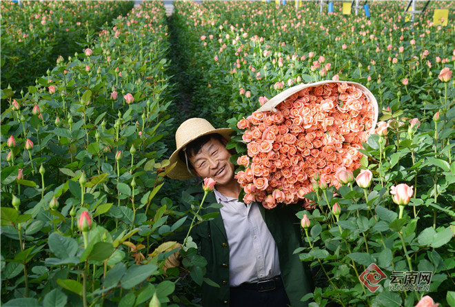 玉溪发布