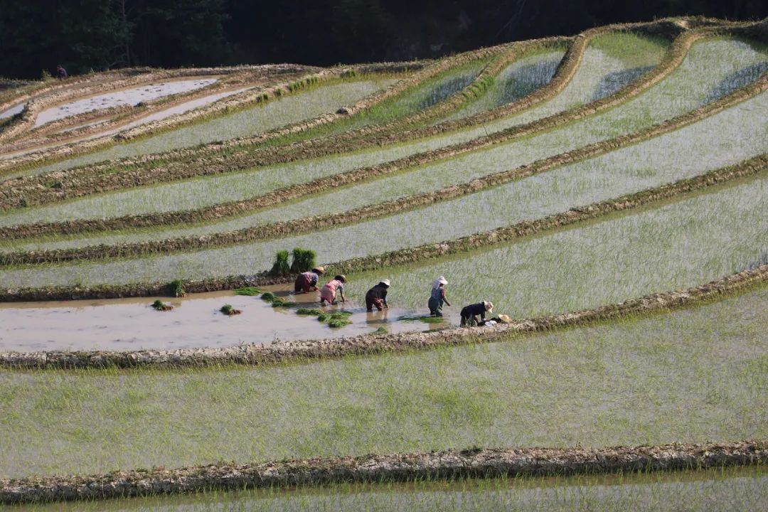 红河文旅
