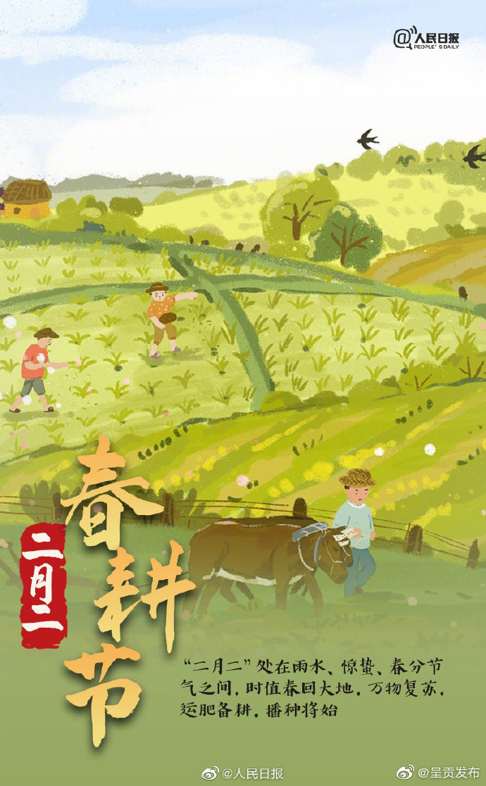 呈贡发布