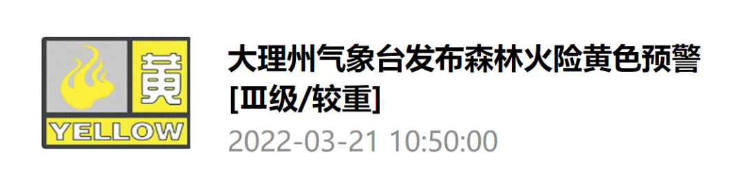 大理日报