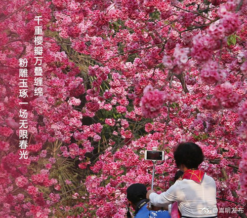 嵩明发布