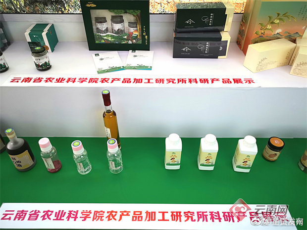 呈贡发布