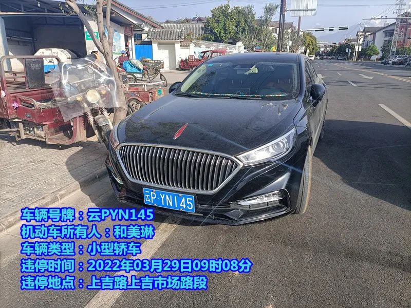 丽江日报