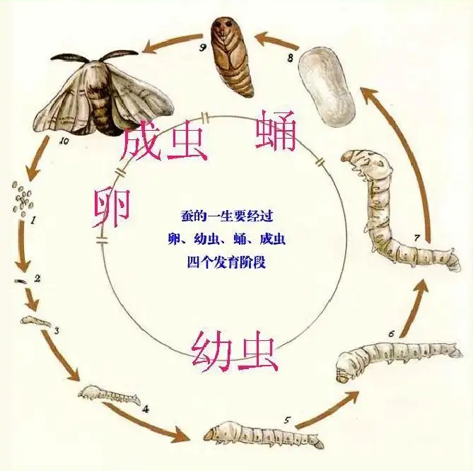 云南省博物馆