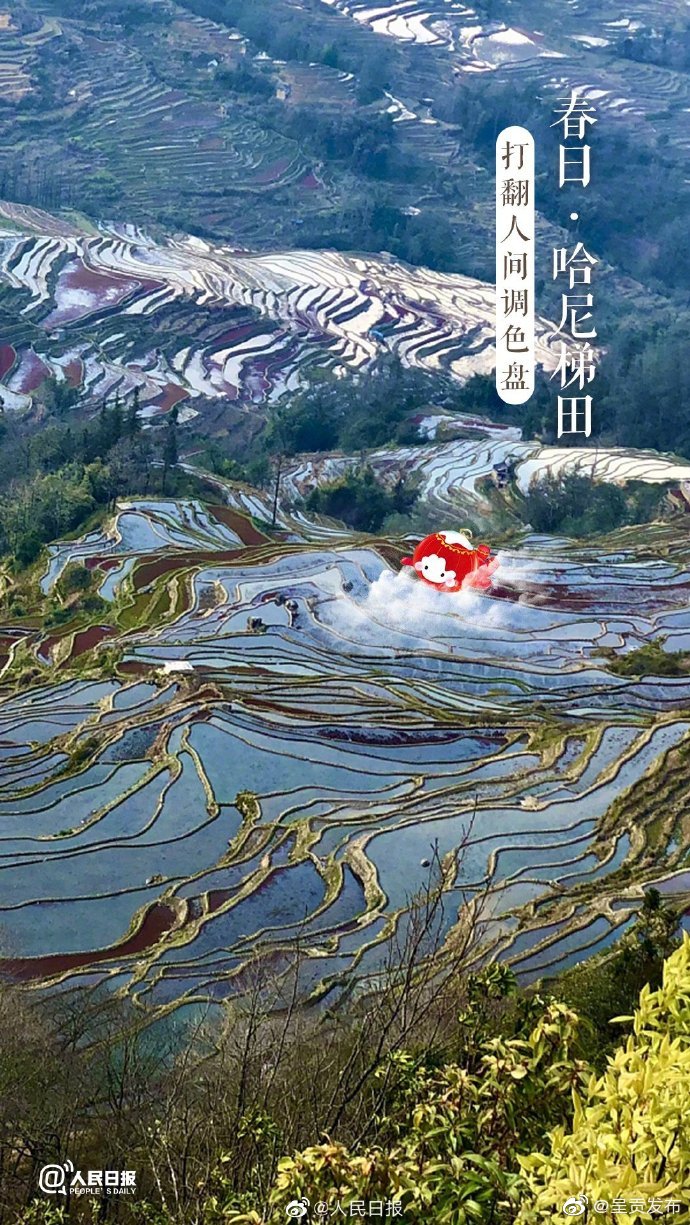 呈贡发布