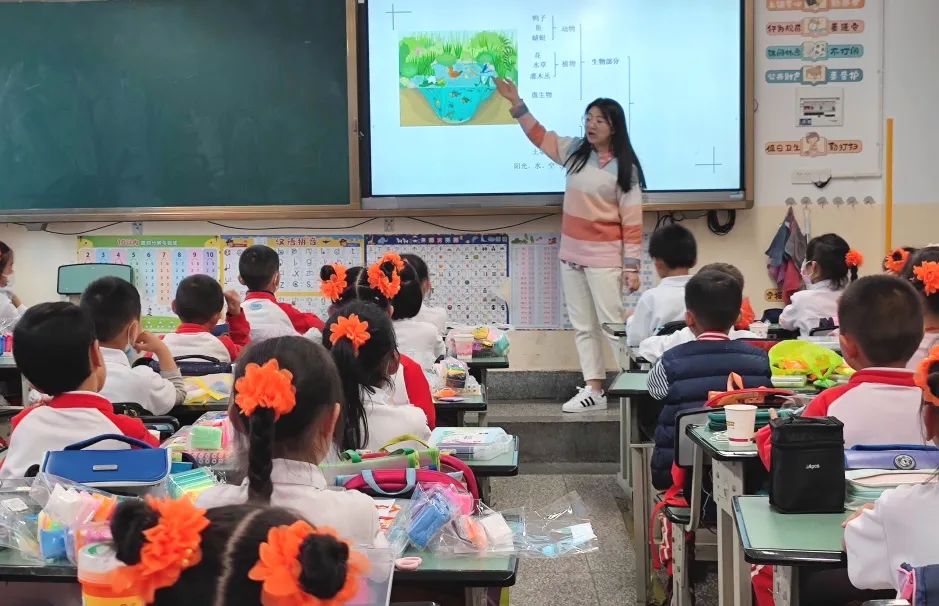 盘龙教育(微信)