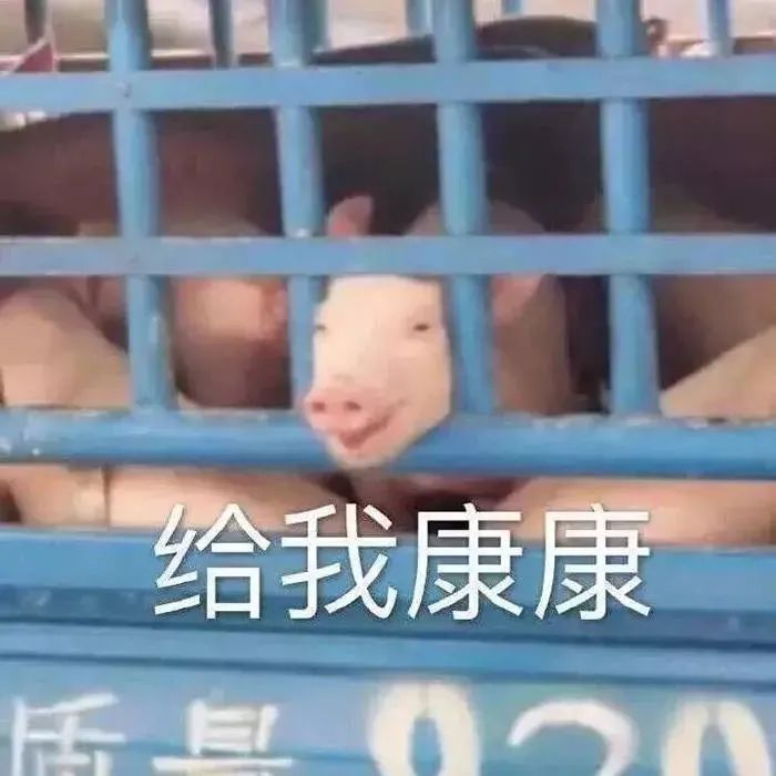 东川发布(微信)