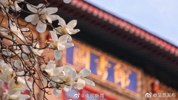 呈贡发布