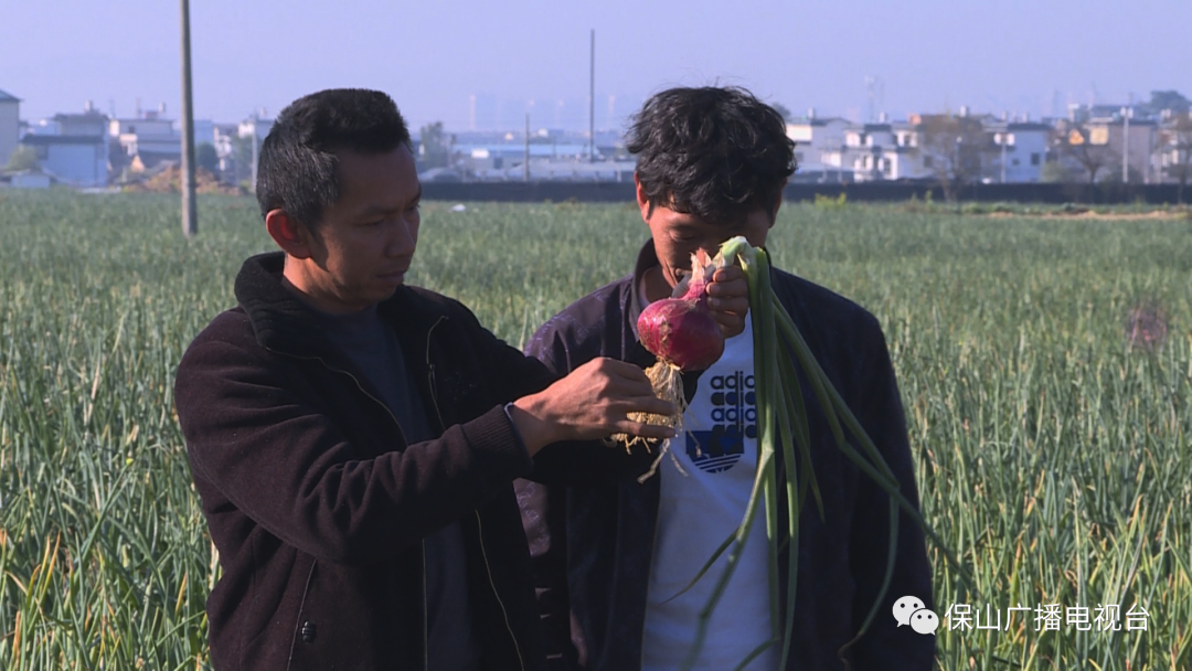 保山广播电视台
