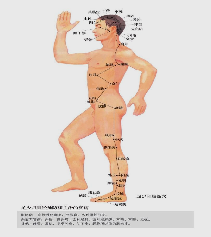 蒙自中医