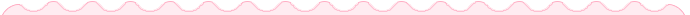 云南政法