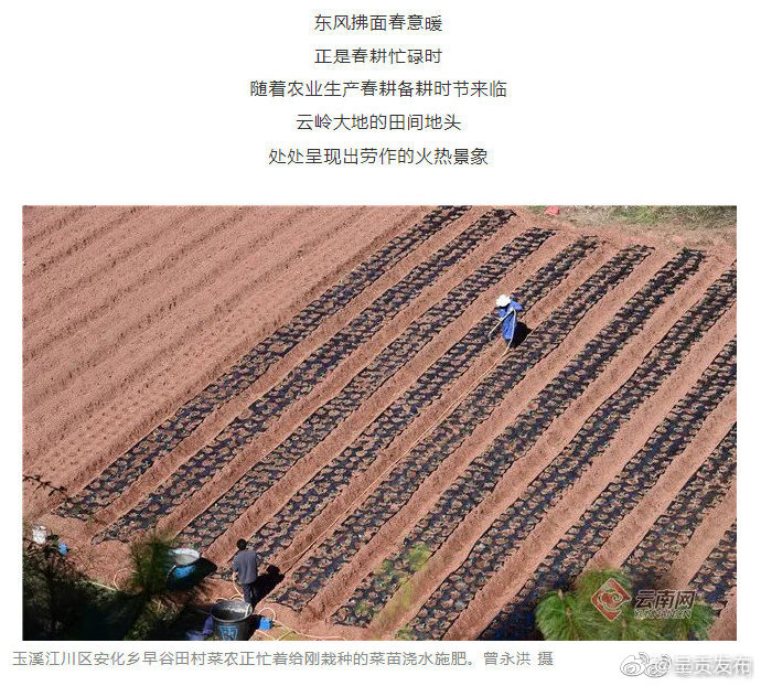 呈贡发布