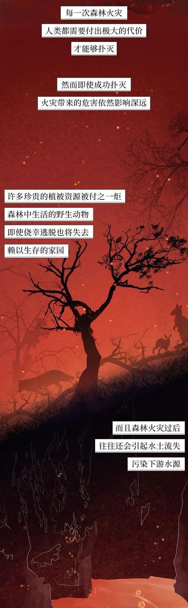 迪庆日报传媒