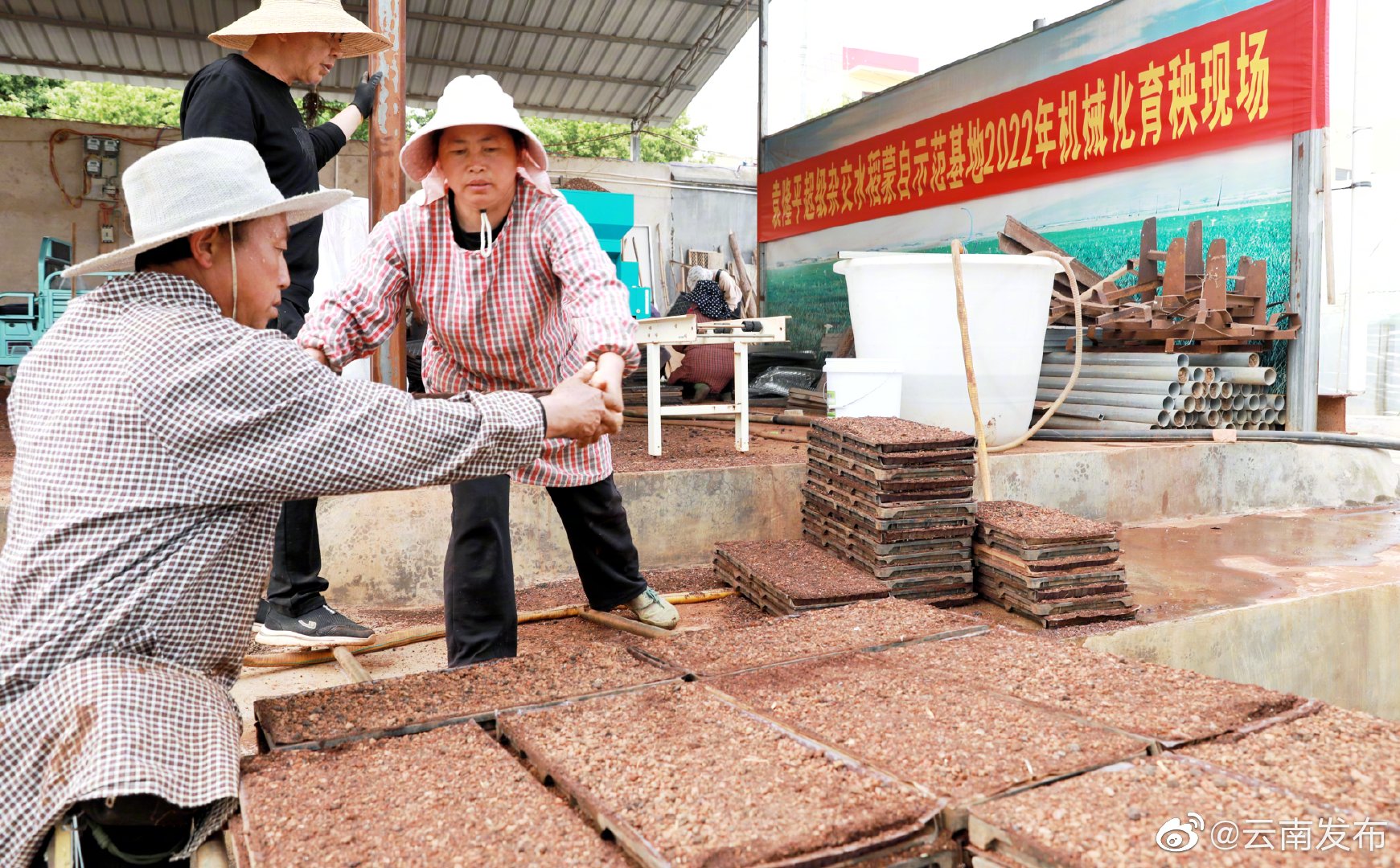 “云南发布”微博