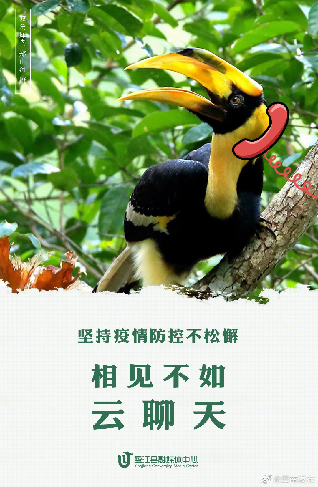 “云南发布”微博