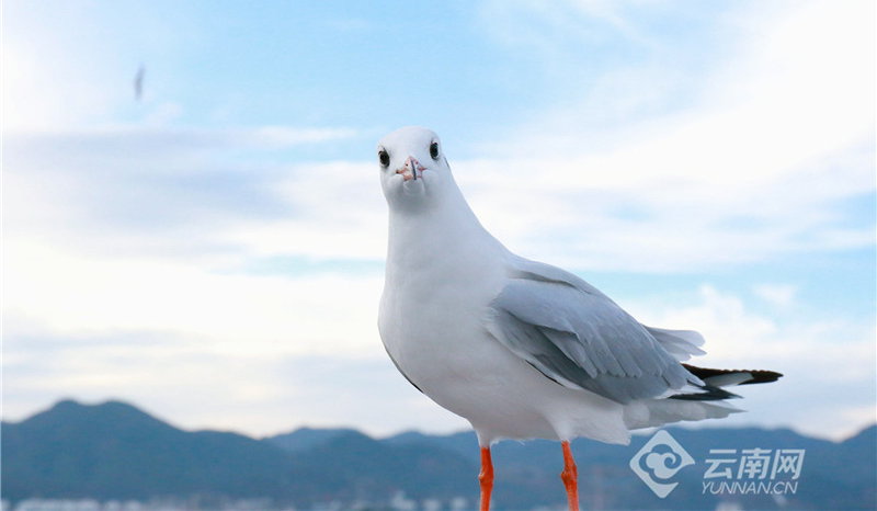 云南省文化和旅游厅