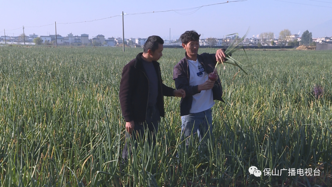 保山广播电视台