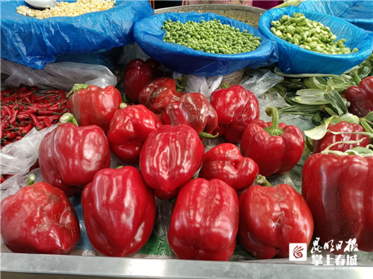 昆明信息港/cnkmxxg