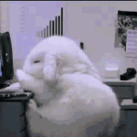 呈贡发布