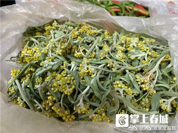 呈贡发布
