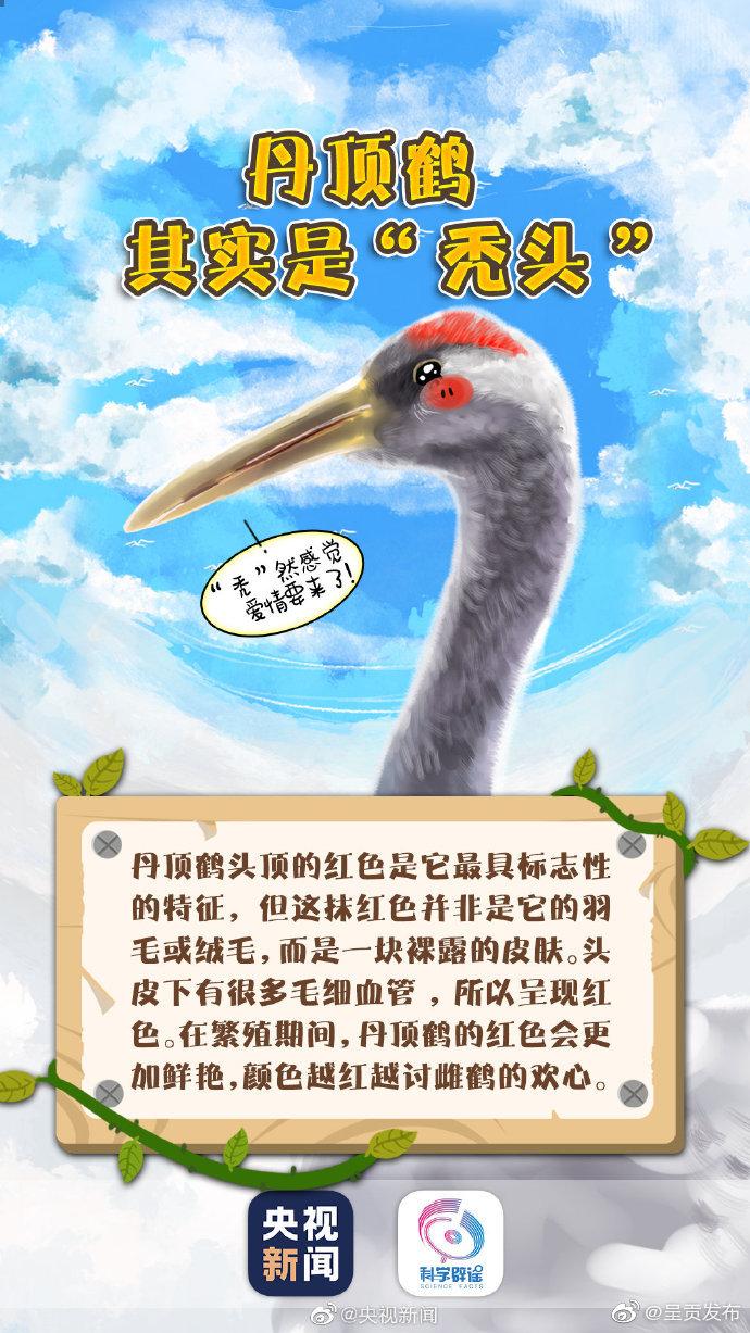 呈贡发布