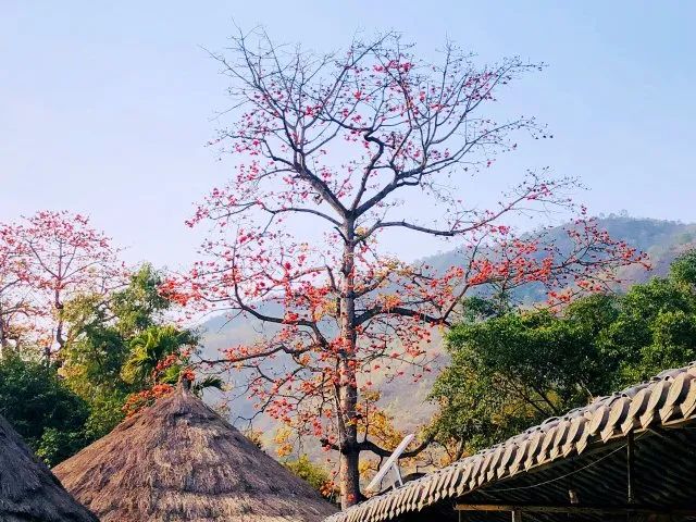 玉溪发布