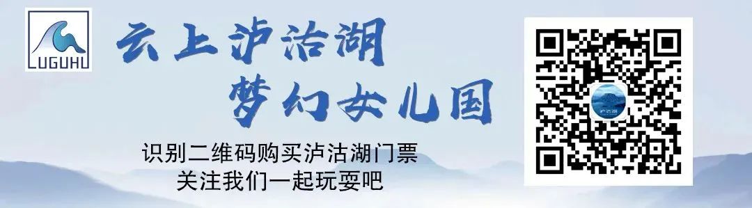 微丽江