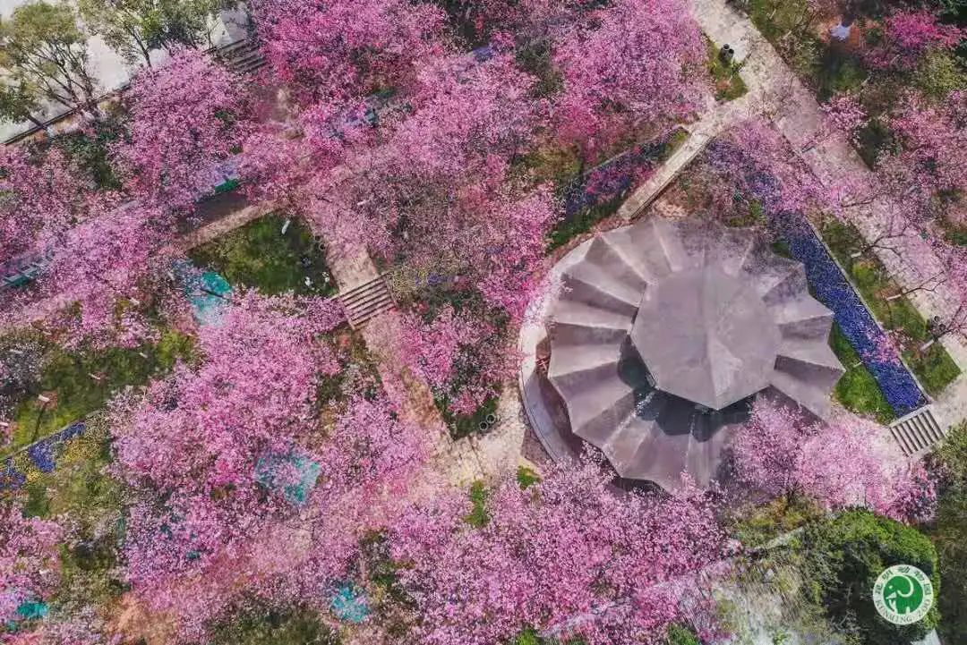 昆明动物园