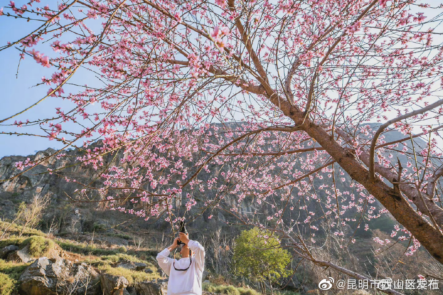 “昆明市西山区发布”微博