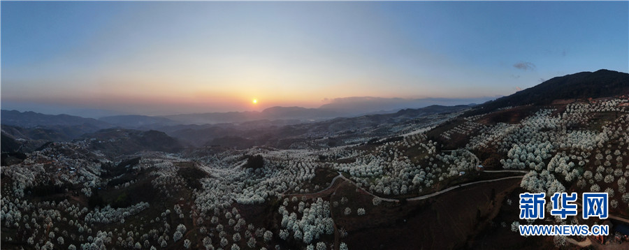 云南省文化和旅游厅