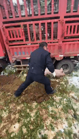 云南警方