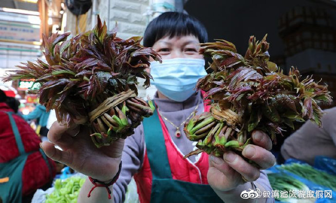 关于香椿的消费提示