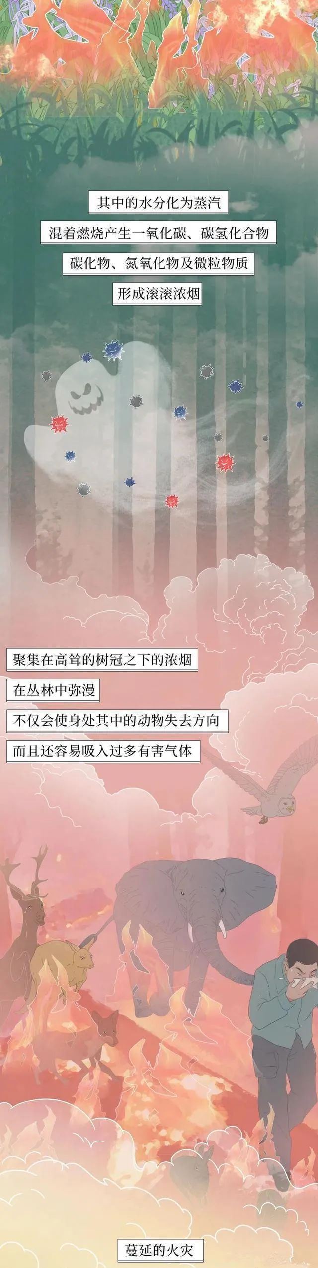 迪庆日报传媒