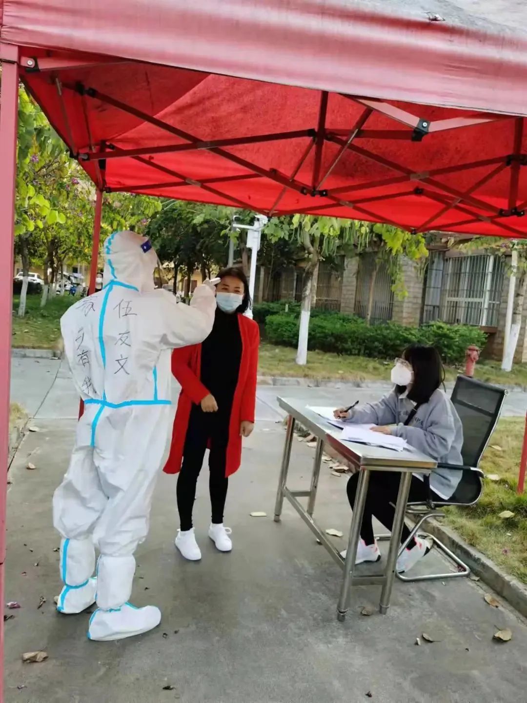云南政法