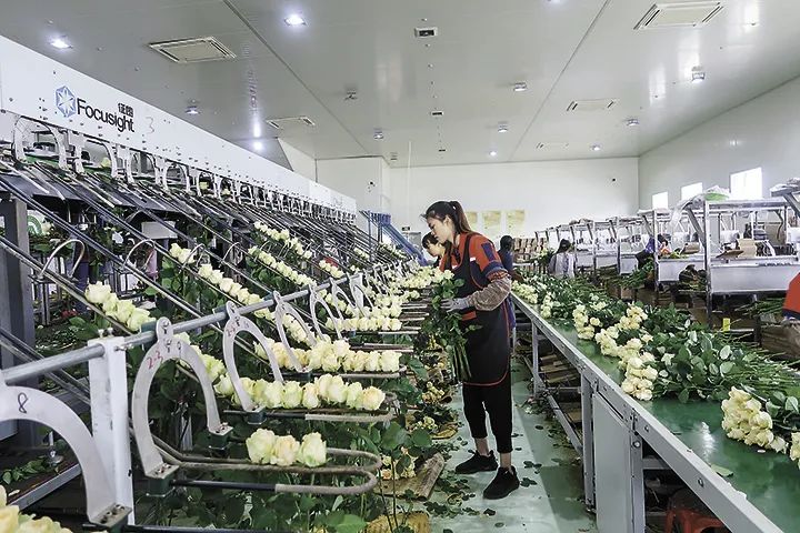玉溪发布
