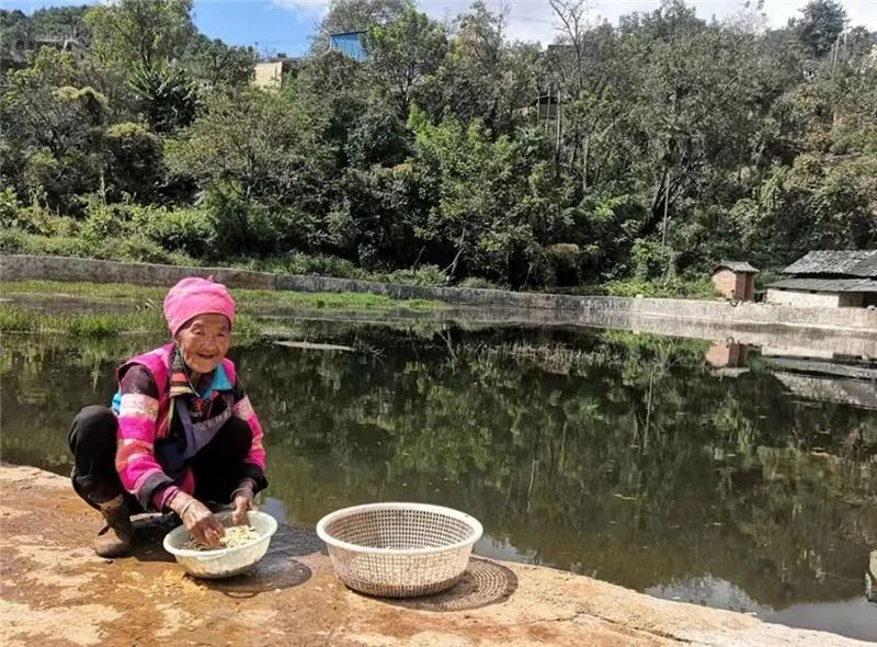 红河文旅