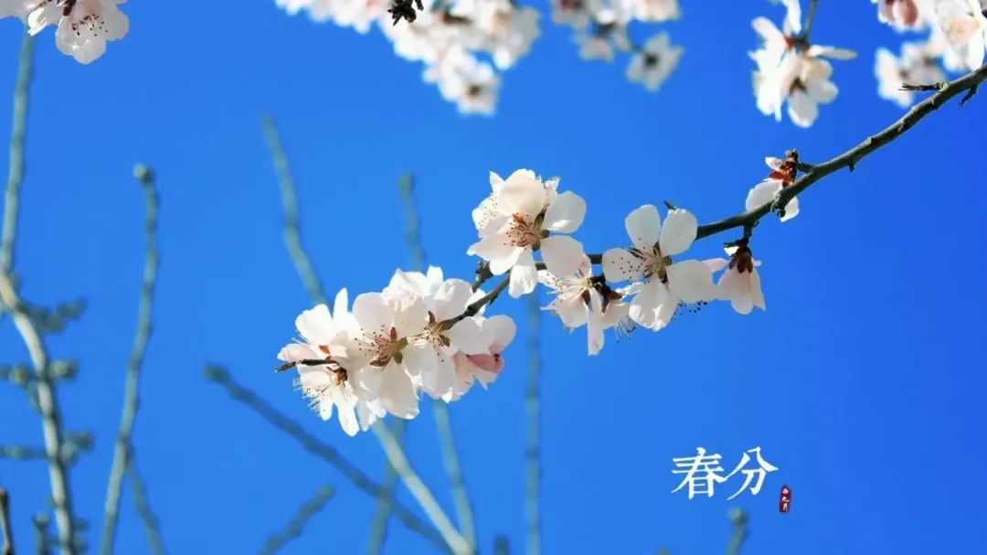 云南疾控