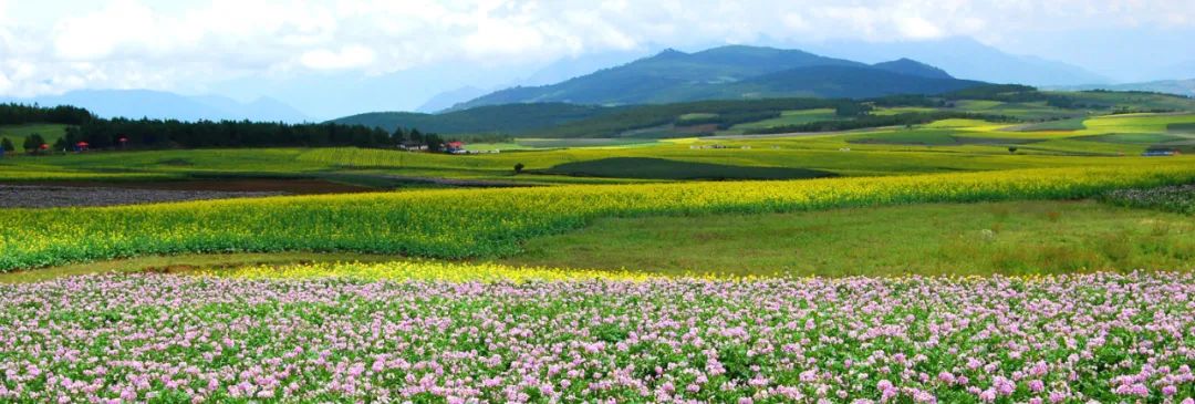 918云南交通台(微信)