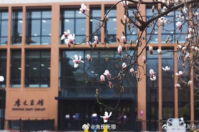 呈贡发布