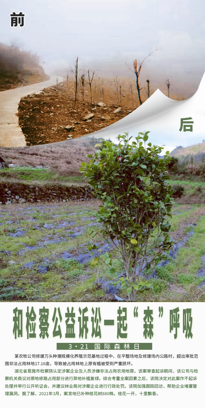 宜良检察(微信)