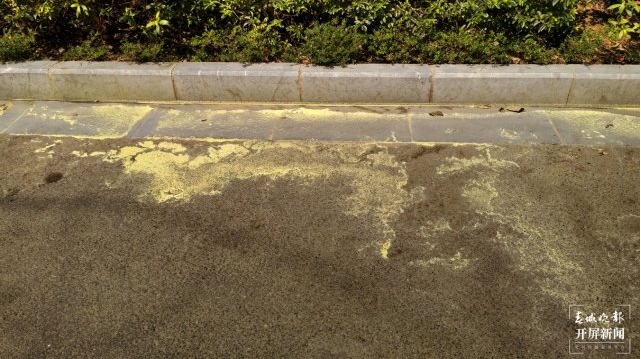 美丽云南微科普