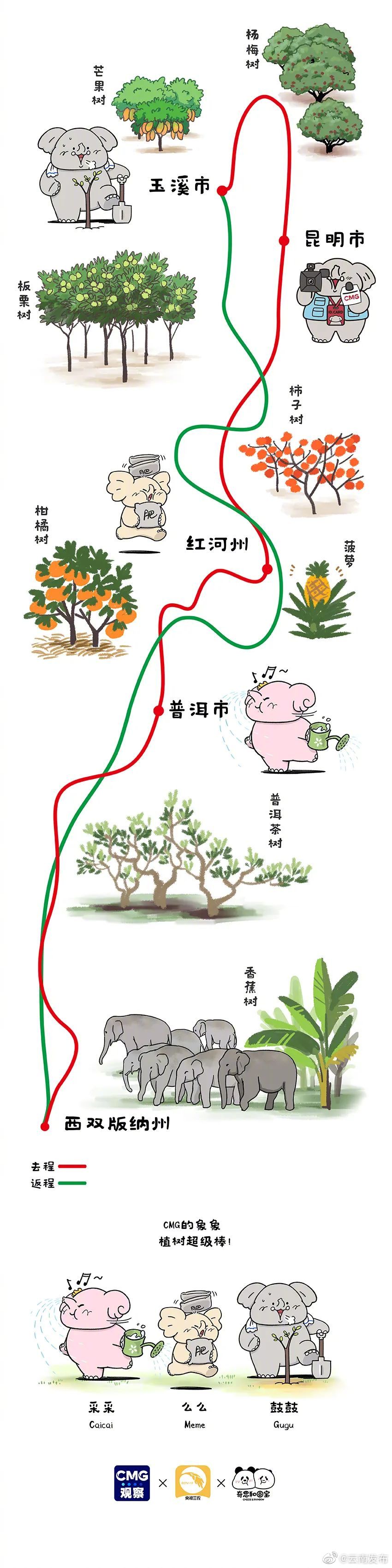 3月12日植树节和云南小象一起植树吧