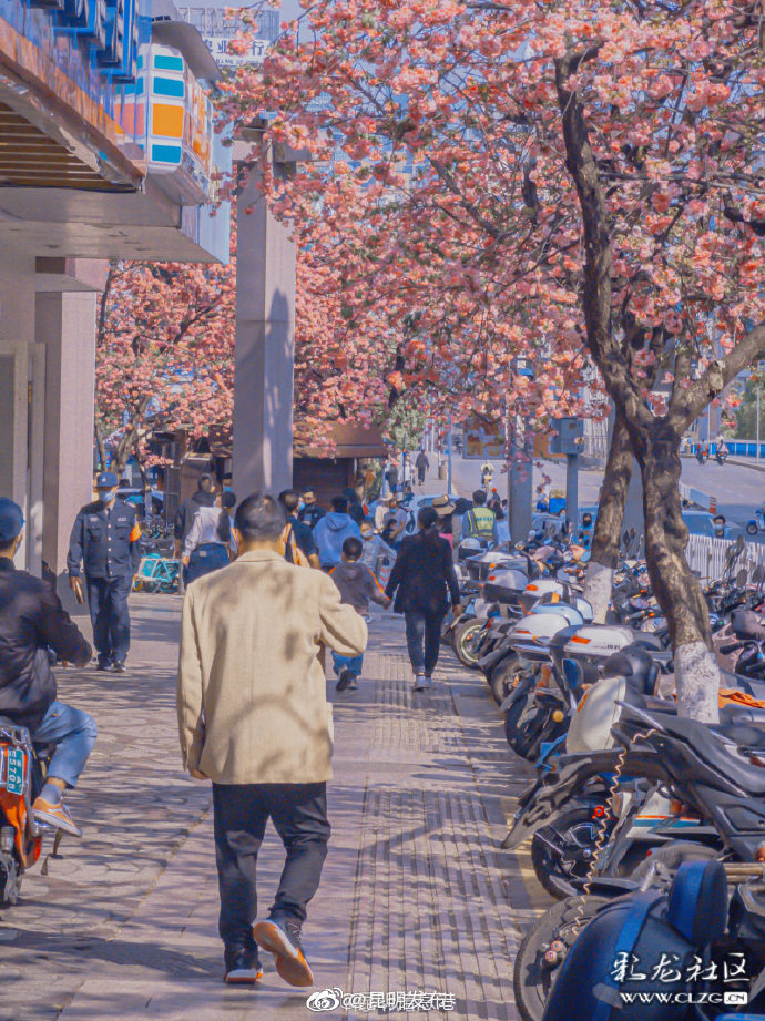 昆明发布