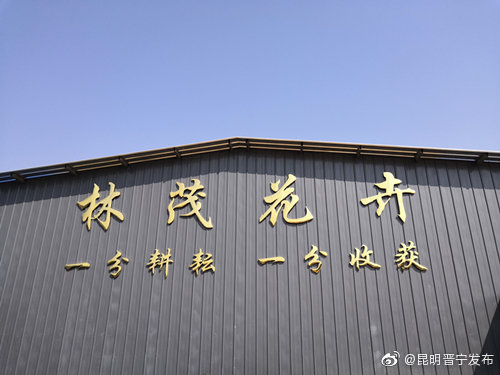 昆明晋宁发布