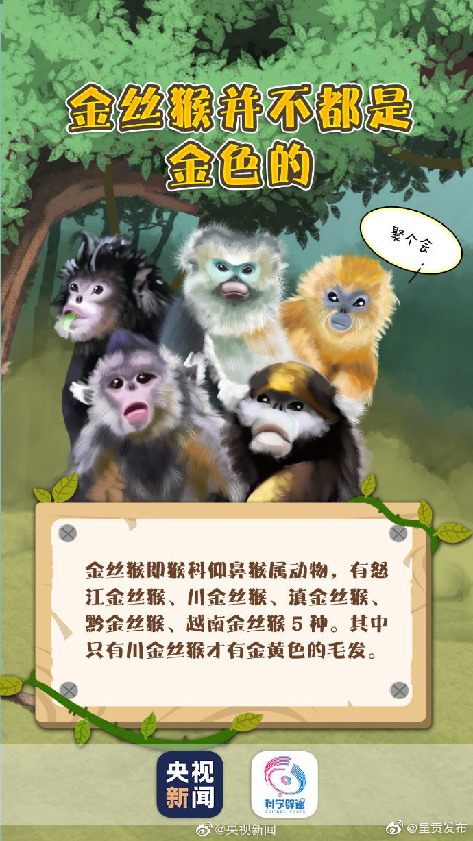 呈贡发布
